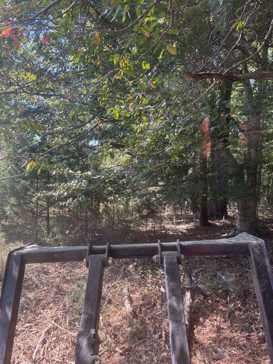 Land Clearing for Gregory Grass and Lawn in Lafayette, TN