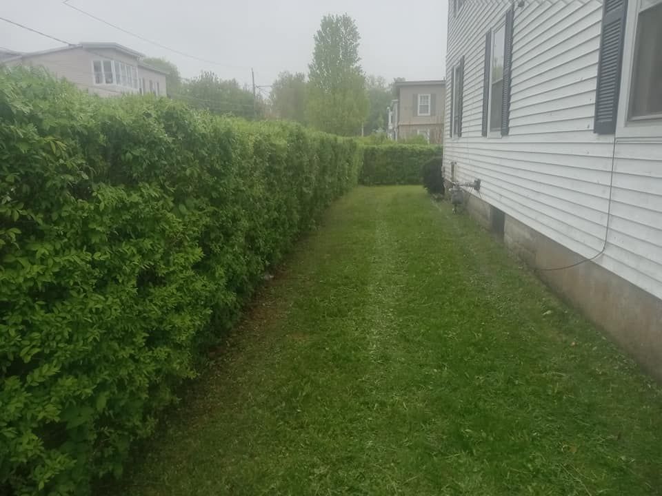 Shrub Trimming for K Brown's Property Maintenance in Pittsfield, MA