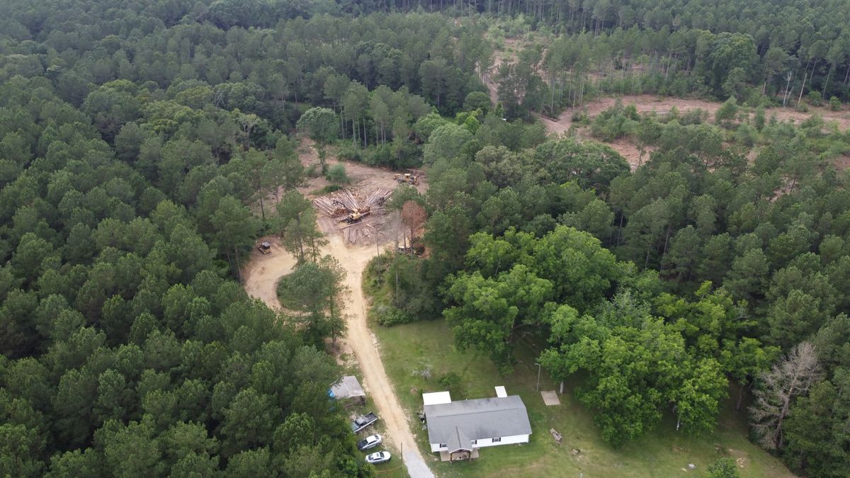 Tree Services for Broadway & McMullen Construction in Hattiesburg, MS