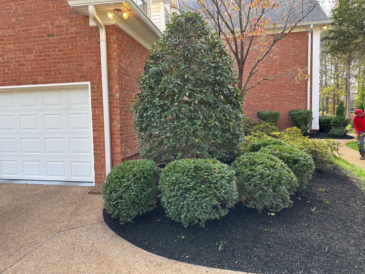 Shrub Trimming for The Right Price Right Choice Lawn Care Services in Murfreesboro, TN