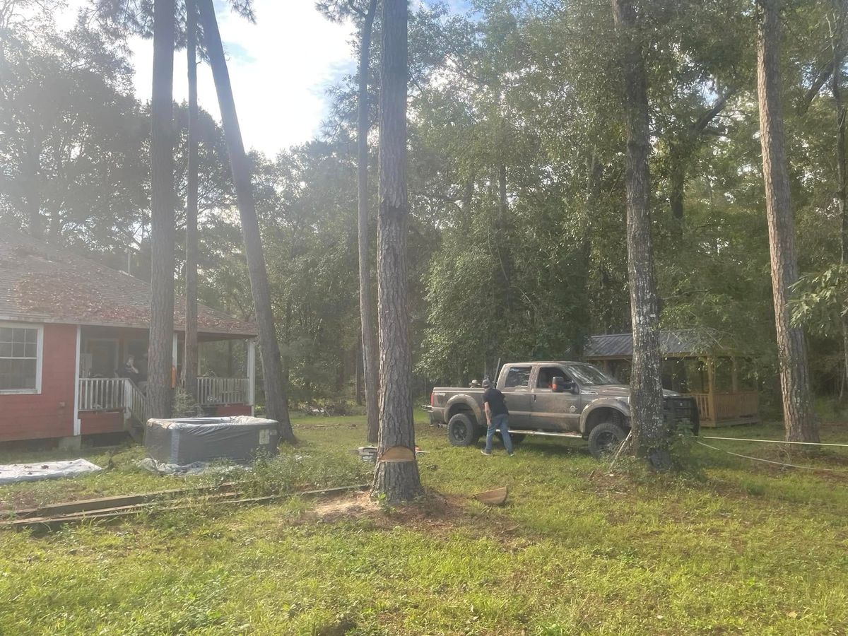 Tree Trimming for Equality Contracting And Tree in Kountze, TX