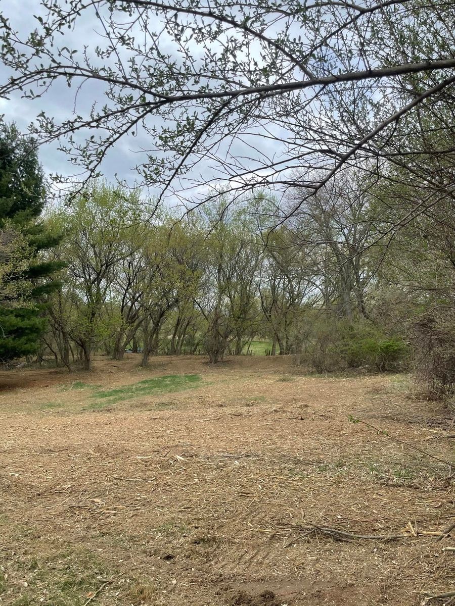 Forestry Mulching for DGD Outdoor Services LLC in Howell, MI