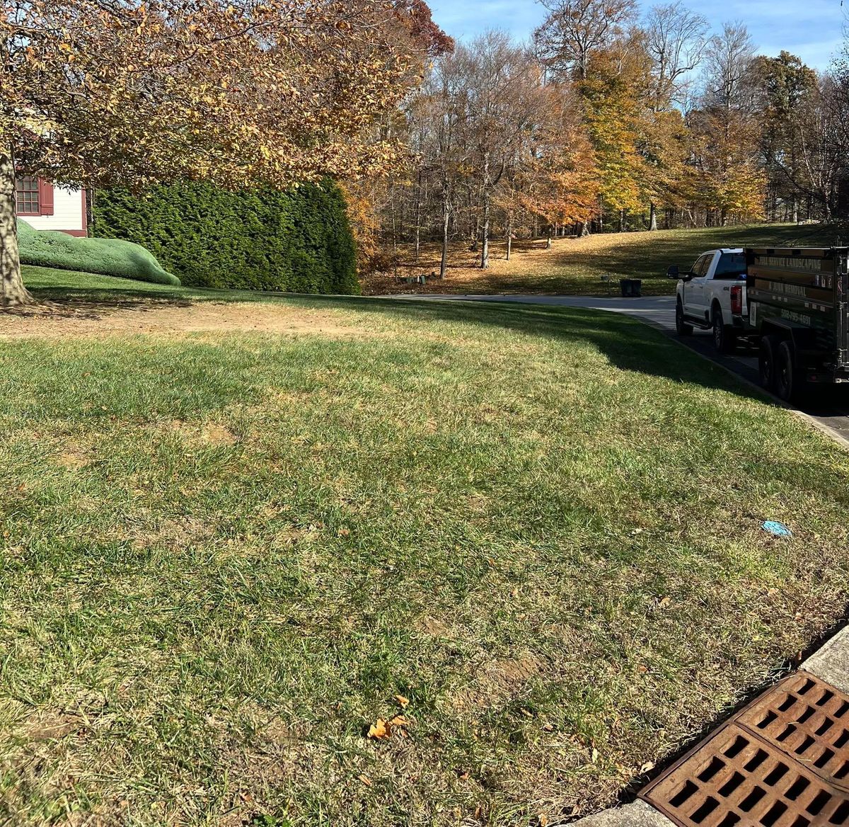 Fall Clean Up for Full Service Landscaping in Louisville, KY