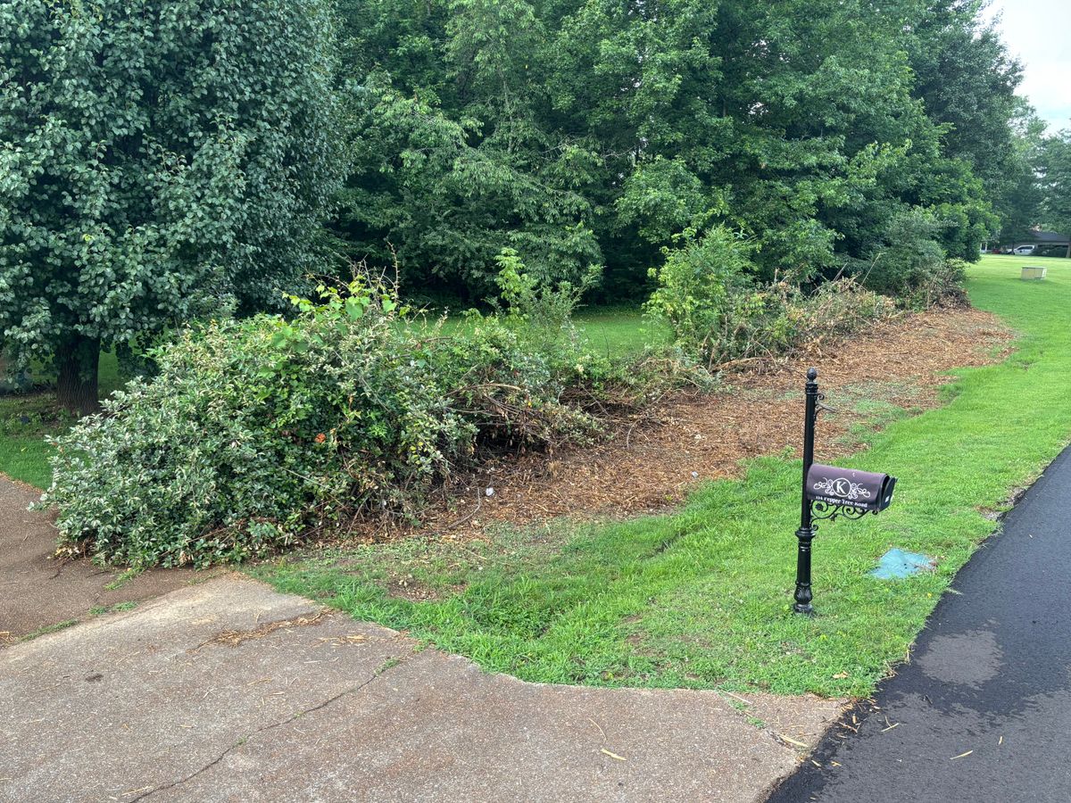 Tree Removal for Simmons land works in Sardis,, TN