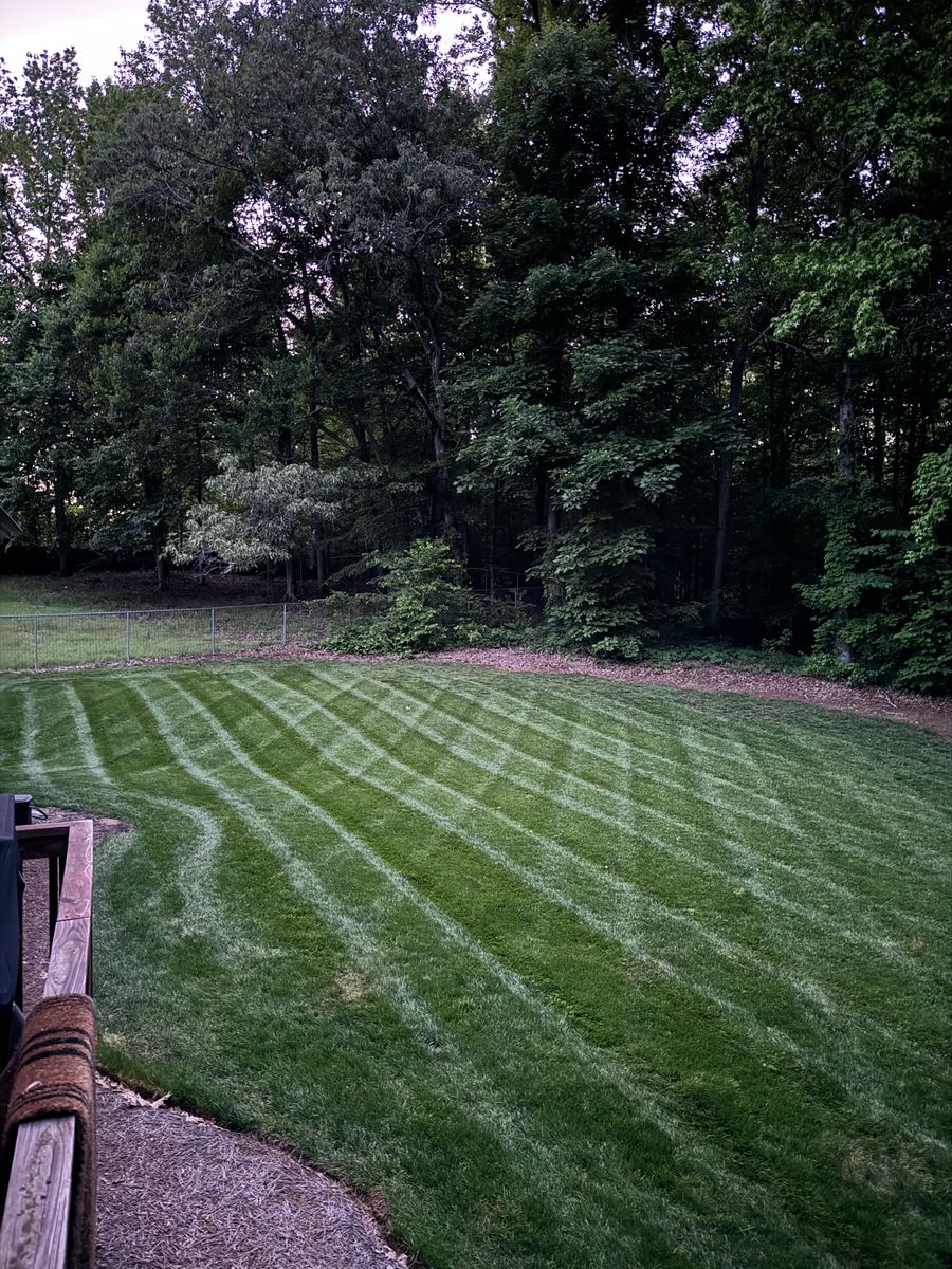 Landscaping & Lawn Renovations for Gallimore’s Lawn Care in Thomasville, NC