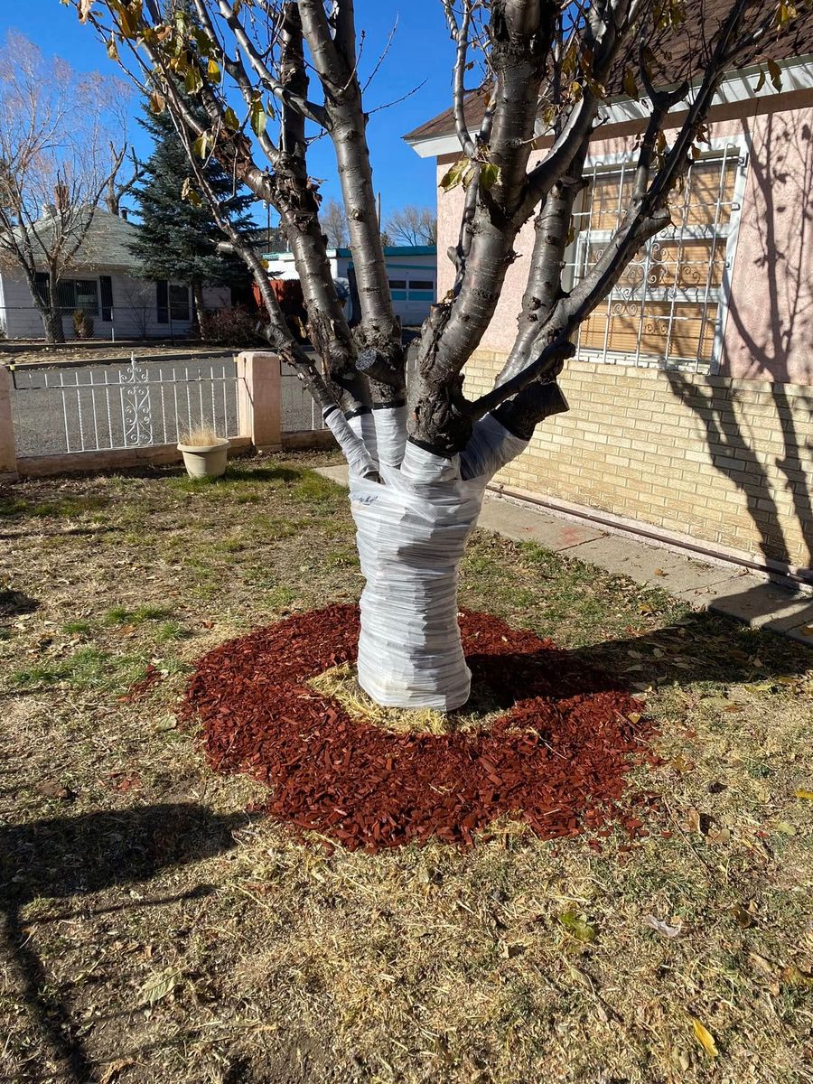 Mulch Installation for Raton Property Maintenance in Raton, NM
