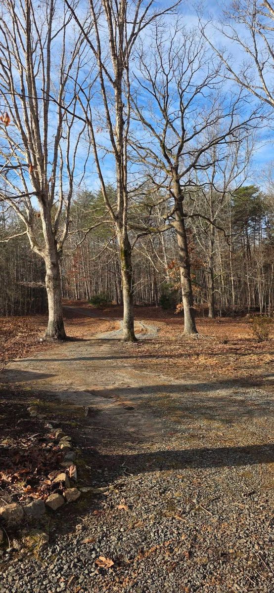 Tree Removal for Hamlett Tree Service LLC in Clover, VA