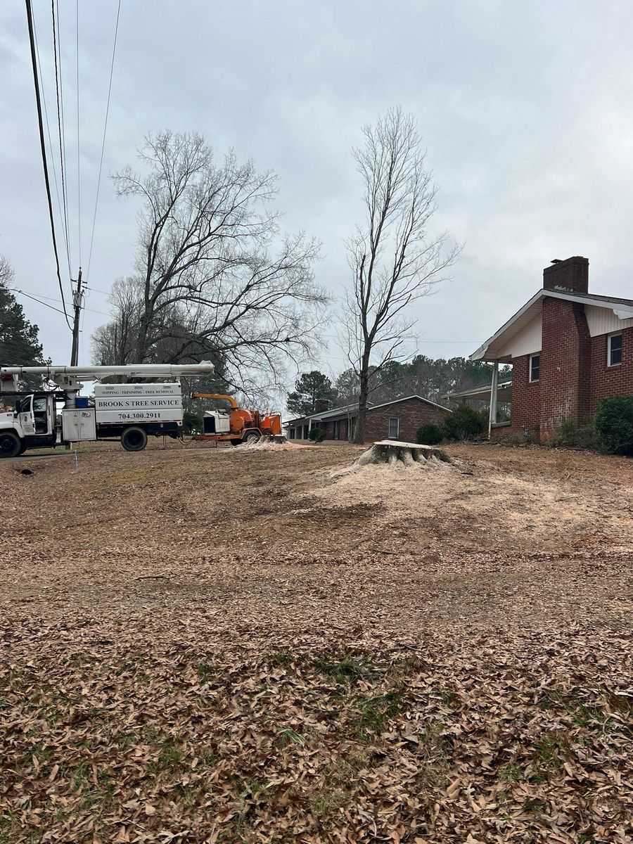 Tree Removal for Brooks Tree Service in Casar, NC
