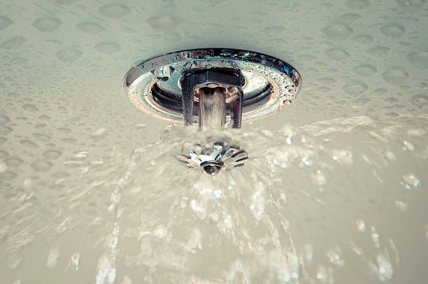 Fire Sprinkler System Maintenance and Repair for Fire Protection Pros in Riverside County, CA