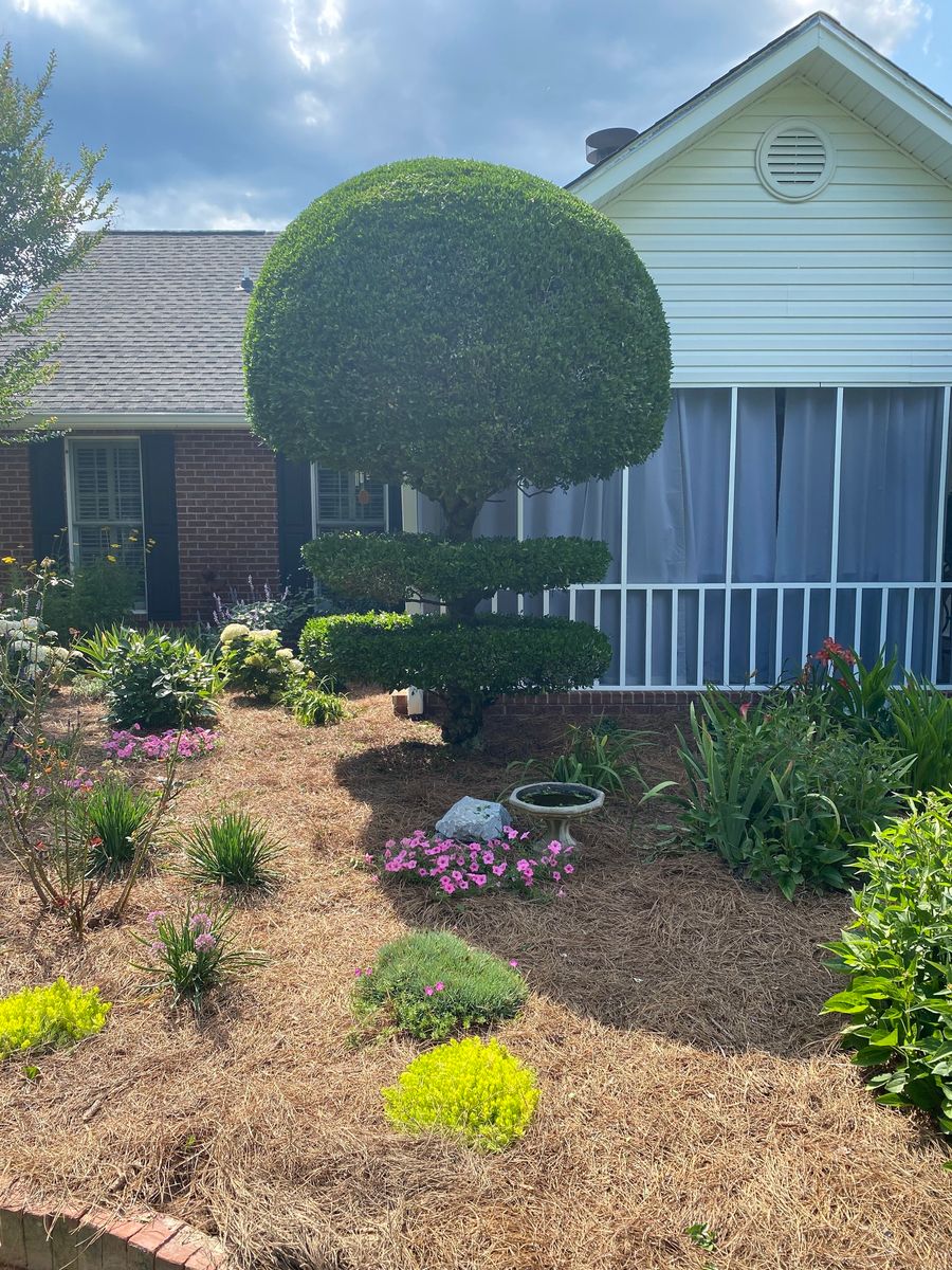 Landscape Installation for Leal’s Lawn Service in Dayton, TN