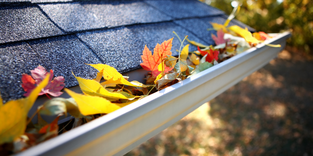 Gutter Cleaning for Brogan's Landscape Construction in Oxford,, MI