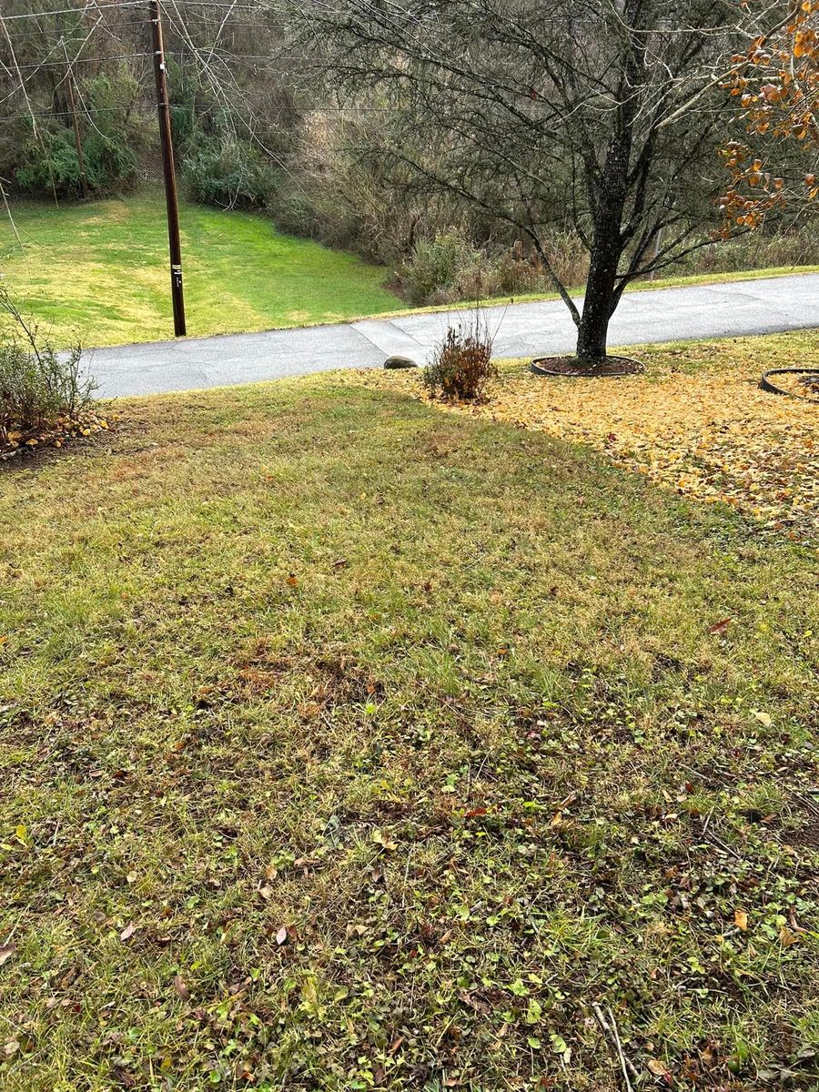 Fall Clean Up for Gatrell Landscape & Tree Removal in Bluff City, TN