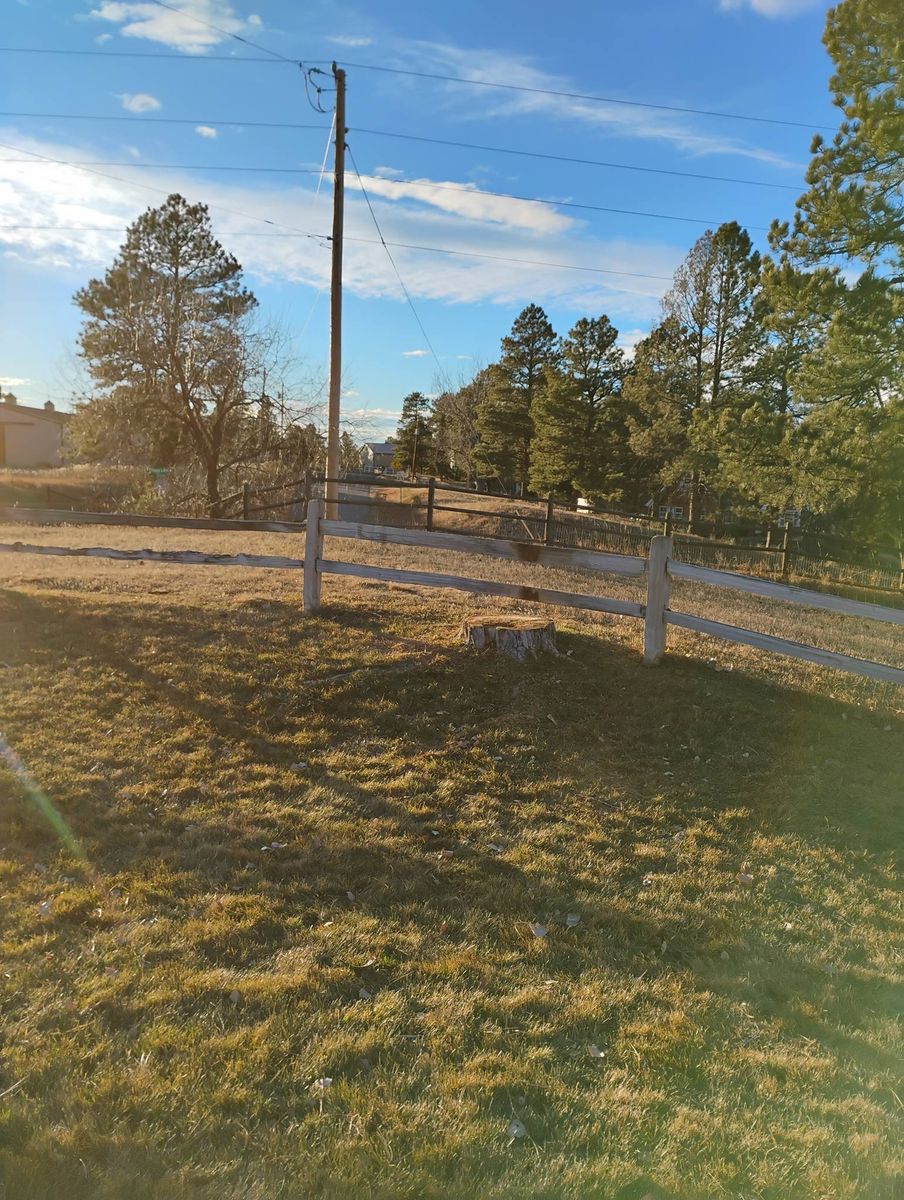 Stump Removal for Sloan Tree Service in Aurora, CO
