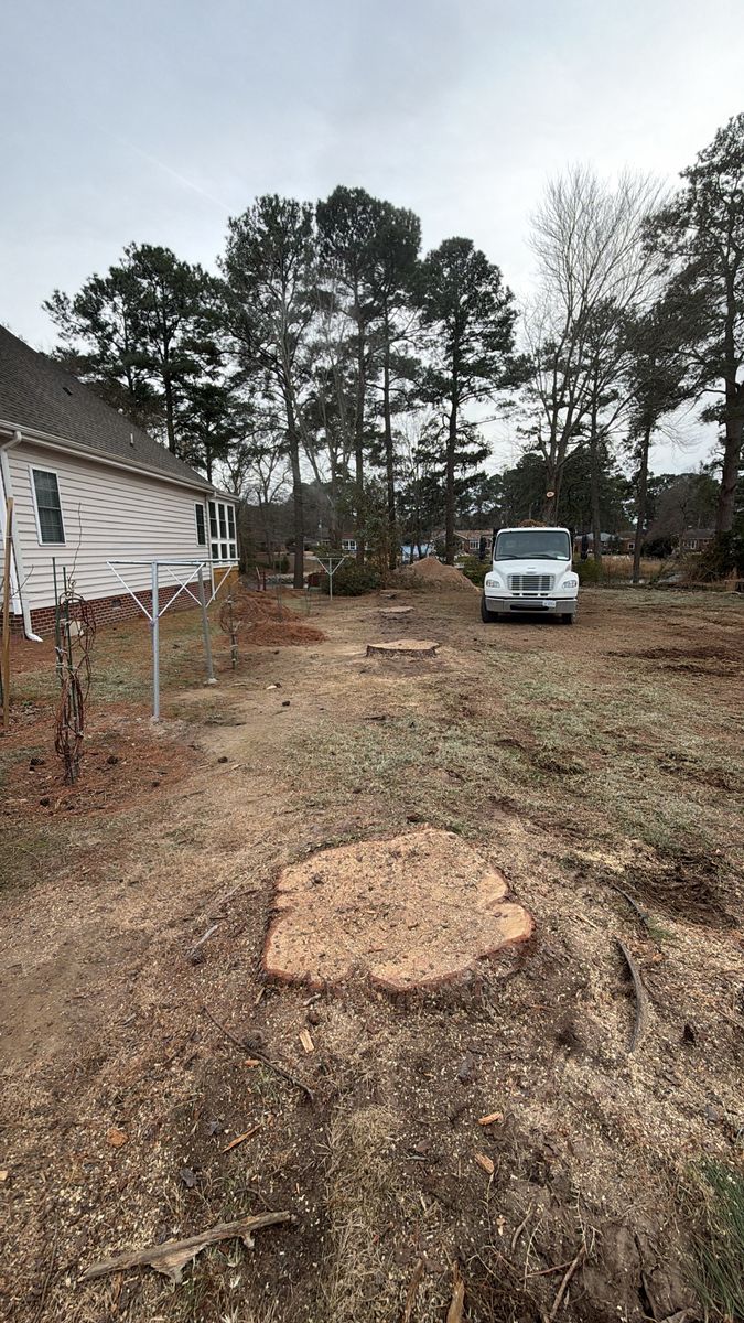 Tree Removal for Tidewater Tree Service in Chesapeake, VA