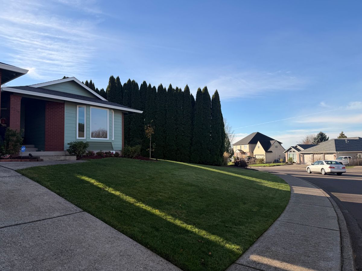 Lawn Aeration for Churape And Son's Landscaping in Vancouver, WA