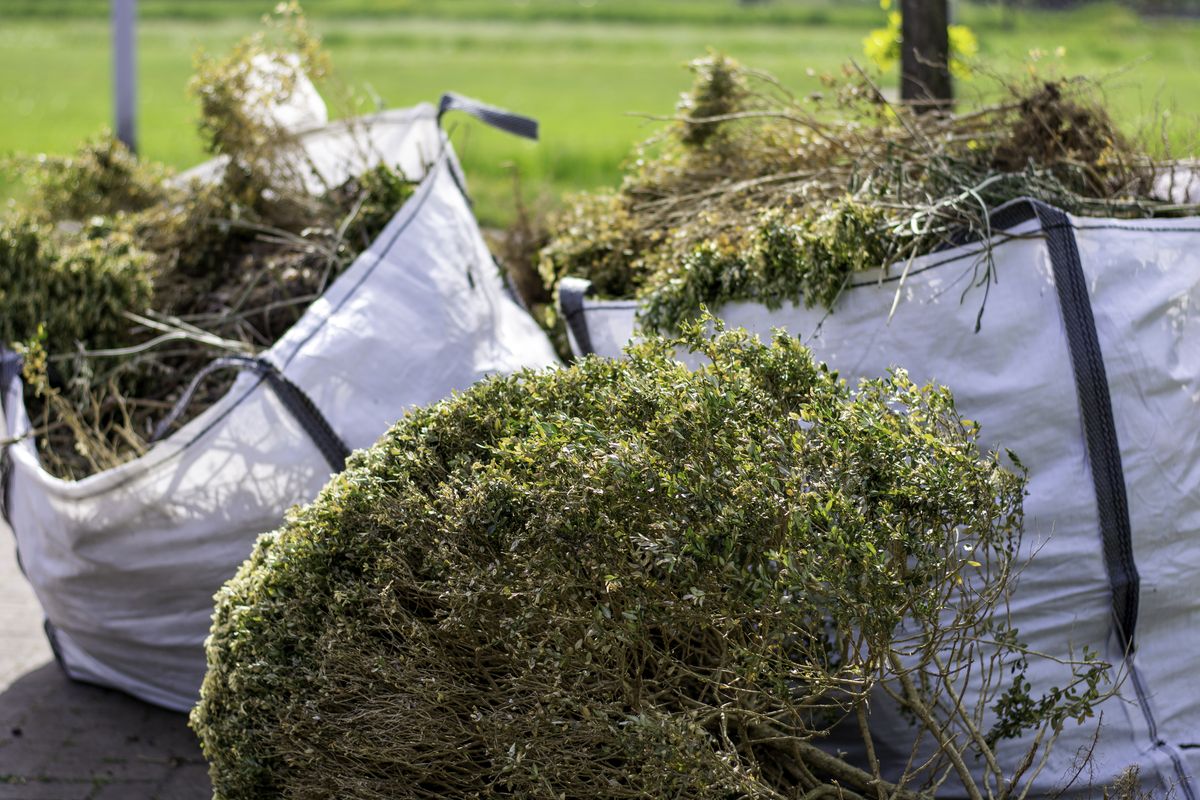 Yard Clean Up  for P & M LANDSCAPING LLC in Trumbull County, Ohio