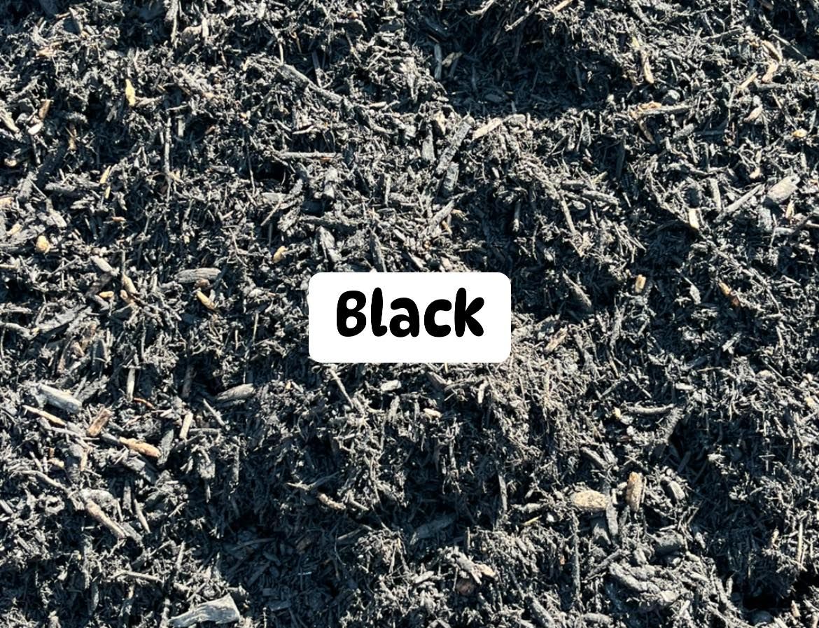 Landscape Design for Artistic Edges in Texarkana, AR