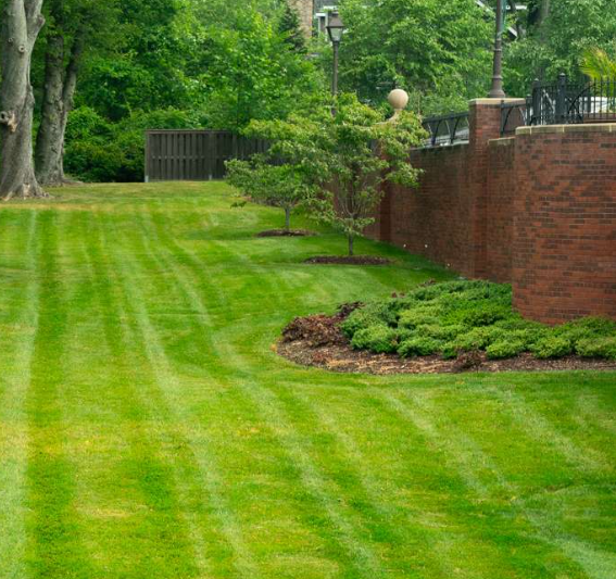 Lawn Maintenance for Garcia Lawn Service & Landscaping in Lafayette, TN
