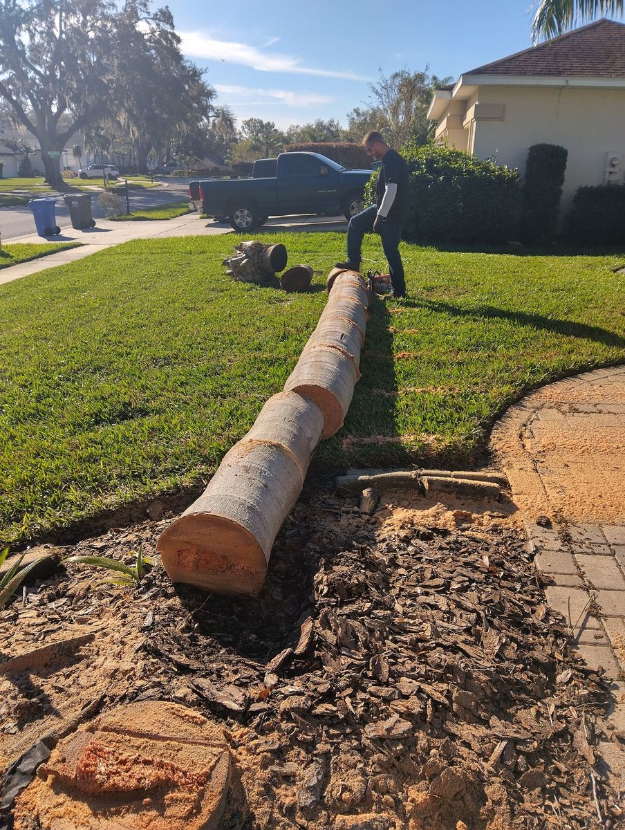 Tree Removal for Bills Tree Service in Valrico, FL