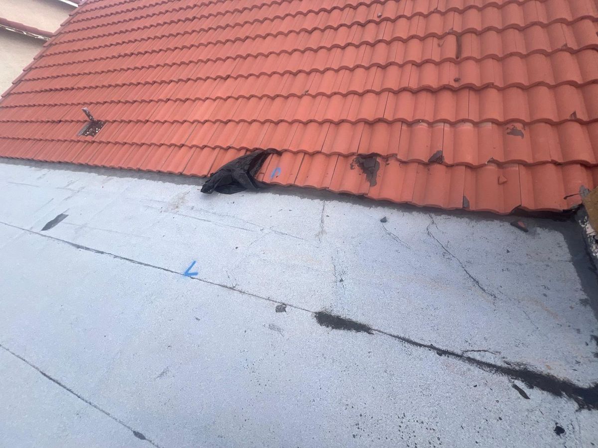 Roofing Replacement for Castro’s Custom’s Roofing LLC in Tucson, AZ