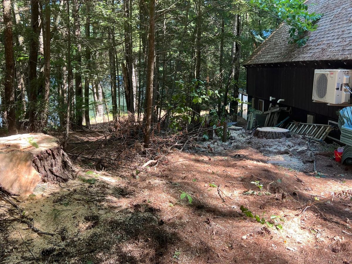 Tree Removal for Abair Tree Service in Weare, NH