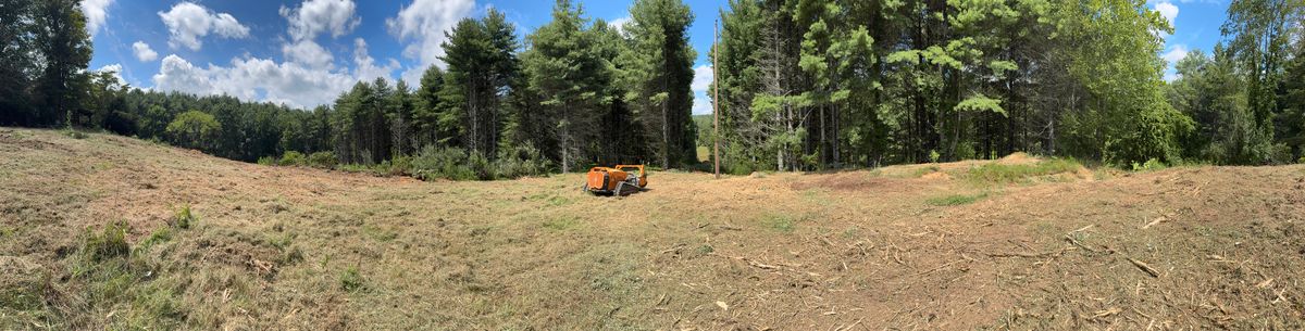 Land Clearing for Mountain Goat Land Management in Galax, VA