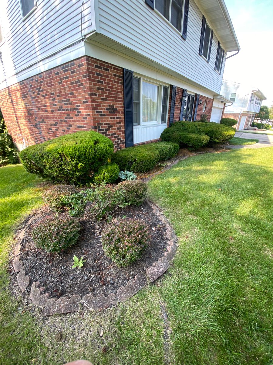 Shrub Trimming for Castle JR Landscaping & Painting LLC in Cincinnati, OH