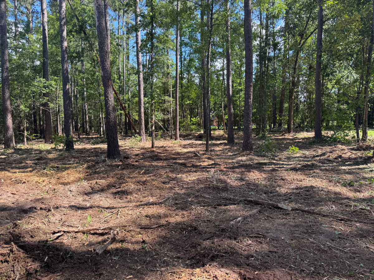 Forestry Mulching for Clean Acres LLC in Hartsville, SC