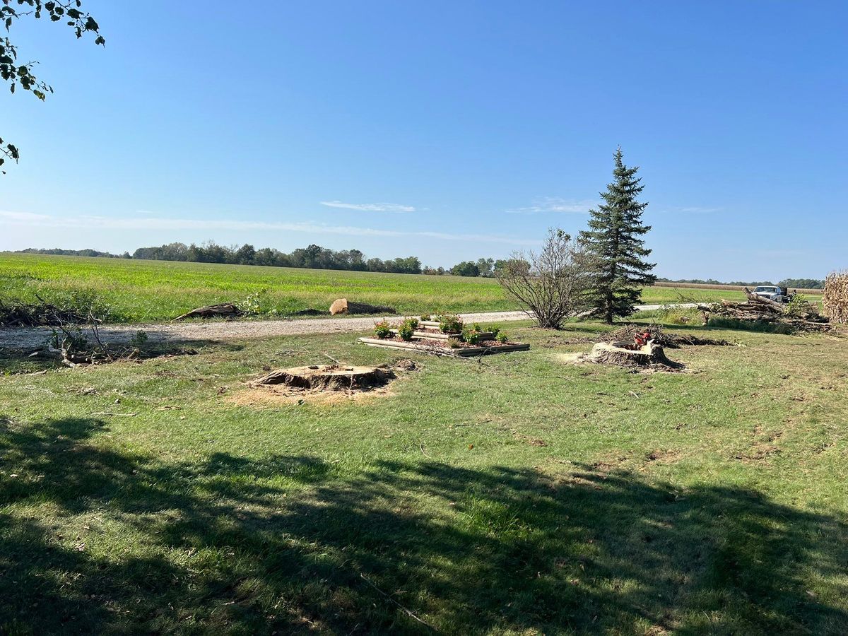 Stump Grinding for Baker Professional Services LLC in Shelbina, MO