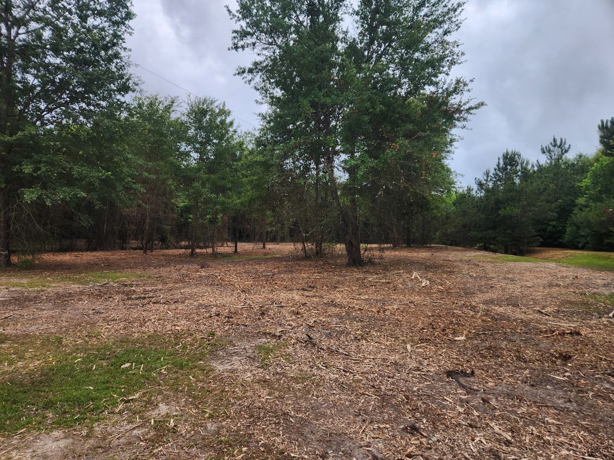 Forestry Mulching for 903 Mulching in East Mountain, TX