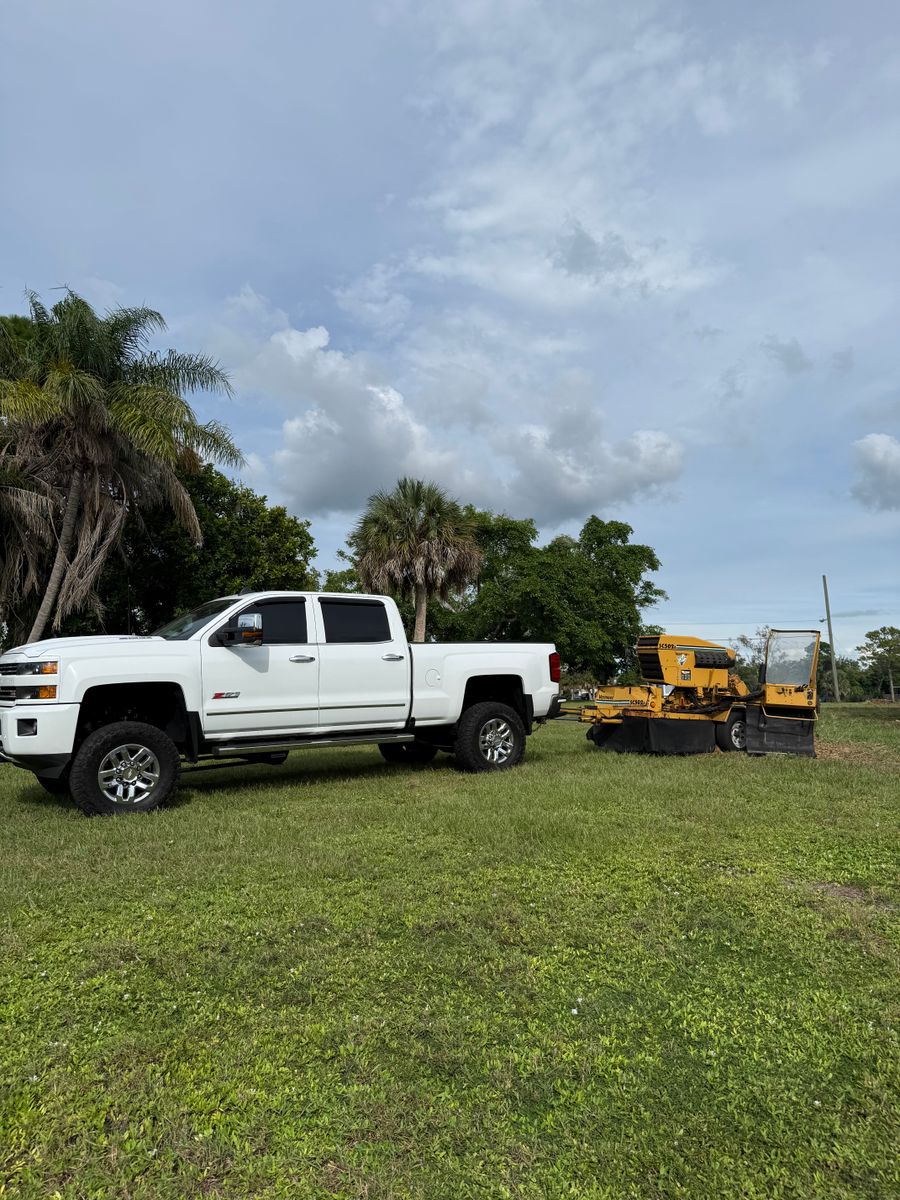 Stump Removal for Damian’s Tree Care in Sarasota, FL