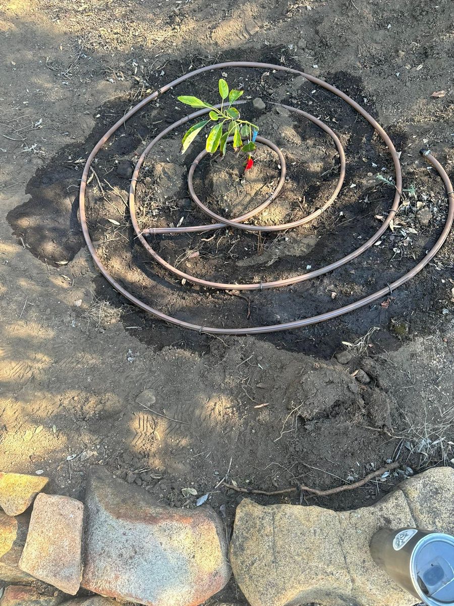 Property Beautification for The Tree Fairy in Julian, CA