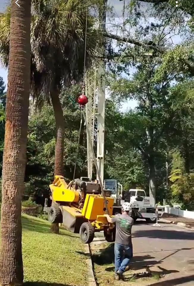Tree Removal for Trees Unlimited of the CSRA in Augusta, GA