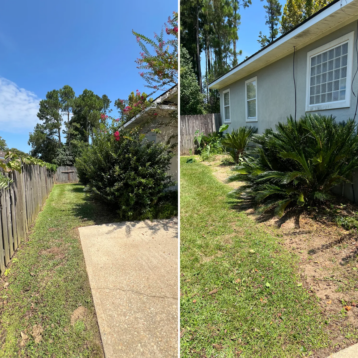 Tree Services for Southern Venom Services in Daphne, AL