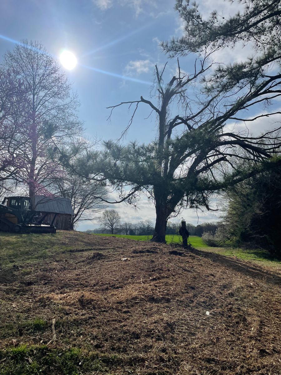 Forestry Mulching for Beaver Excavating Services in Friendship, TN