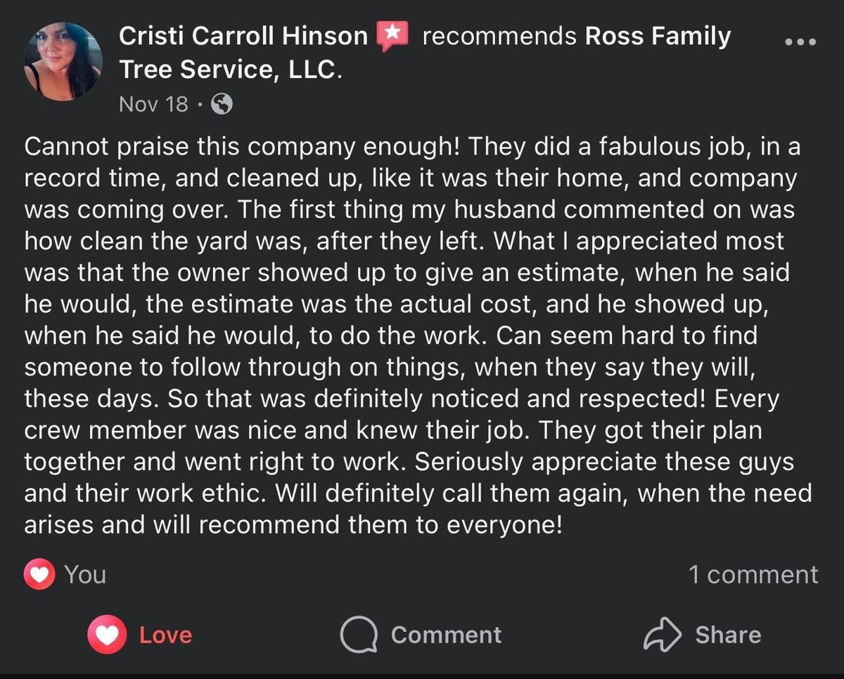 Other Tree Services for Ross Family Tree Service LLC  in Hohenwald, TN