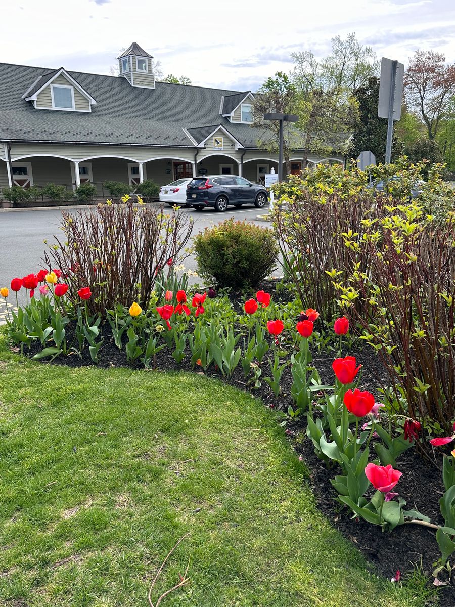 Landscape Design for Green Way Landscape and Building Maintenance in Trenton, NJ