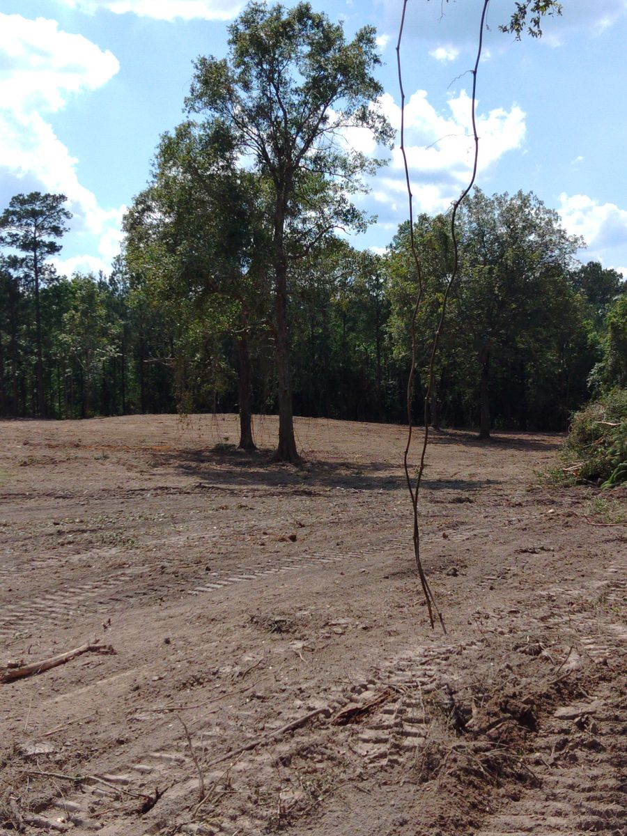 Land Clearing for Big Thicket Land Clearing in Kountze, TX