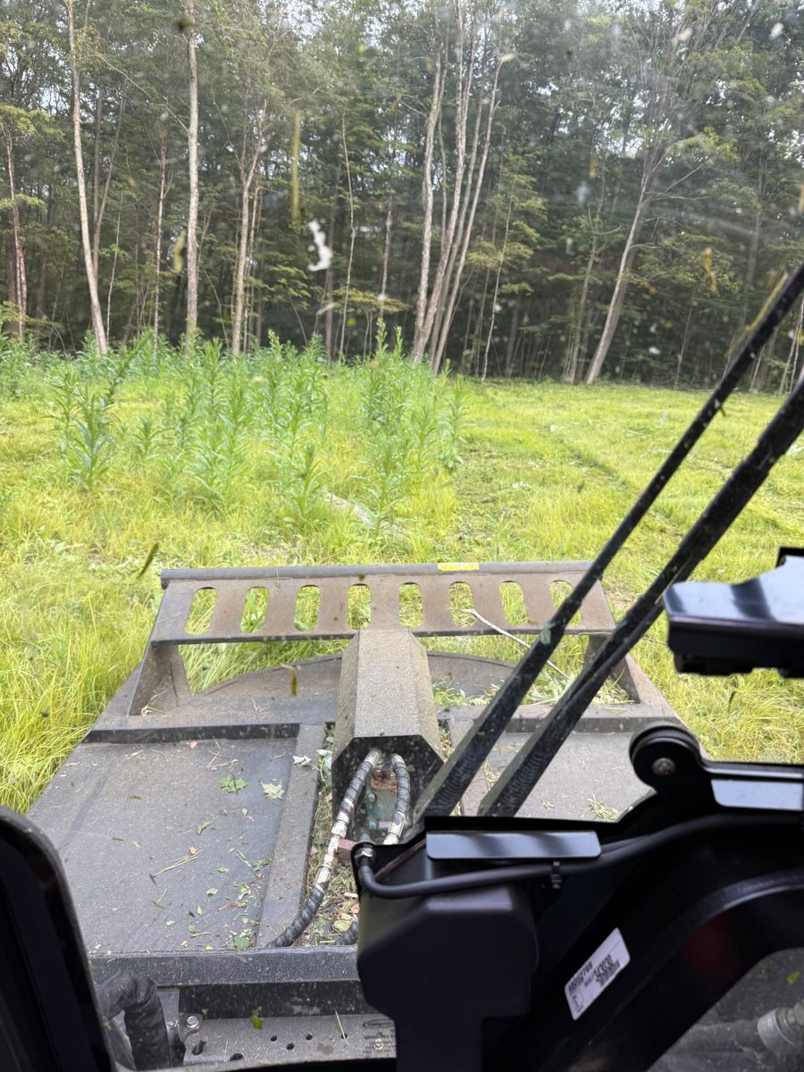 Forestry Mulching for Triple C’s Excavation in Ashford, CT