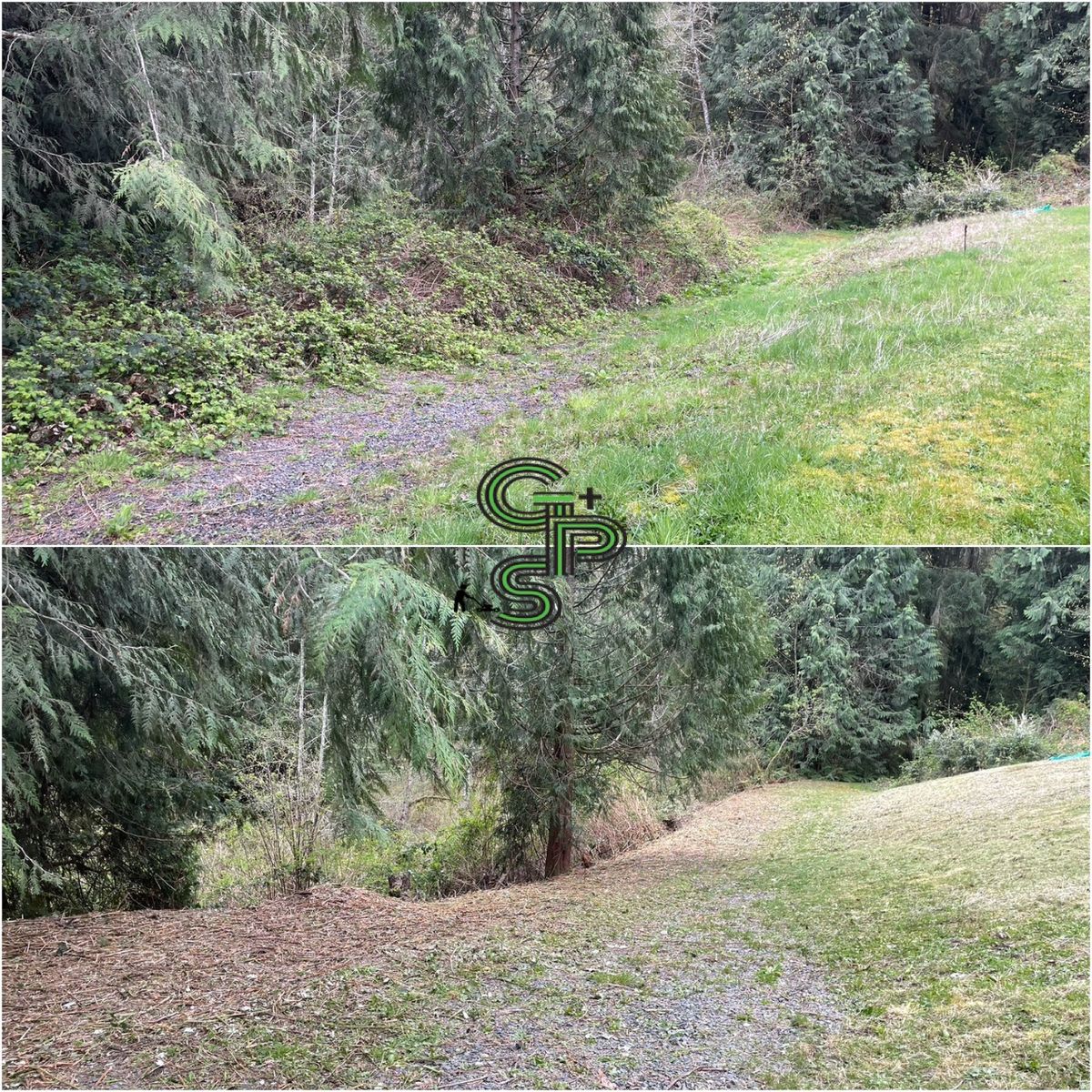 Brush Clearing - Bramble Clearing - Blackberry Clearing for Golovin Property Services LLC in Marysville, WA