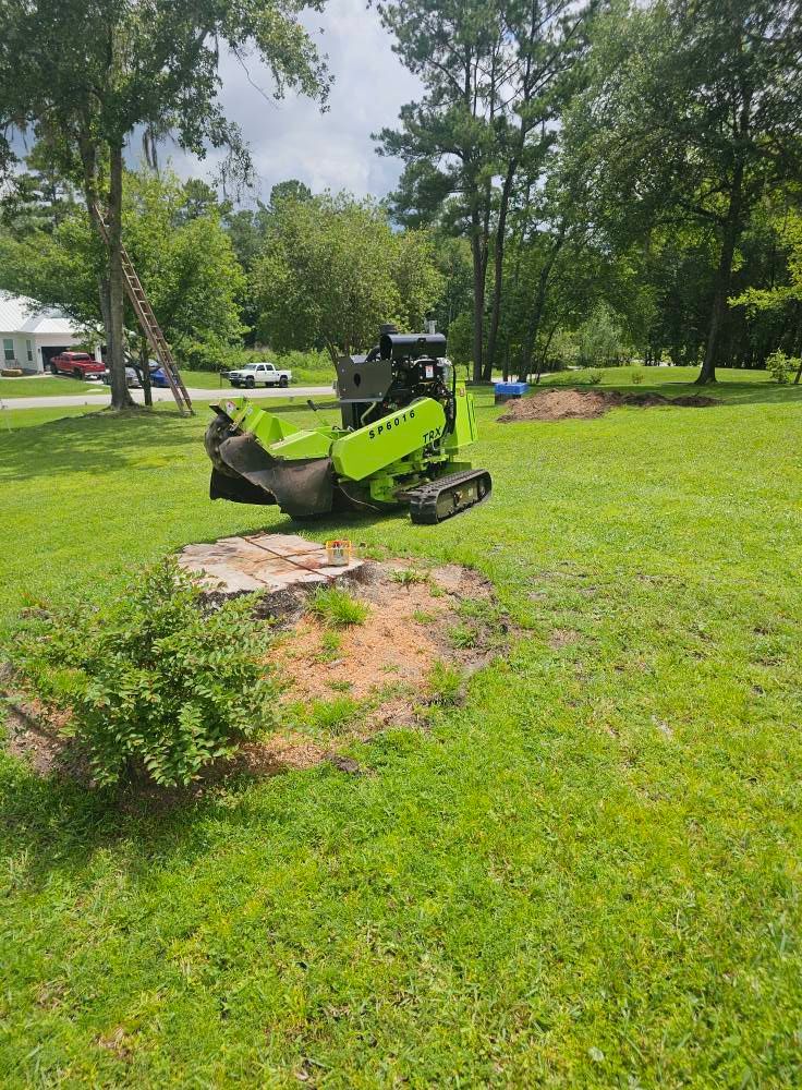 Stump Grinding for Stumps done right LLC in Middleburg, FL