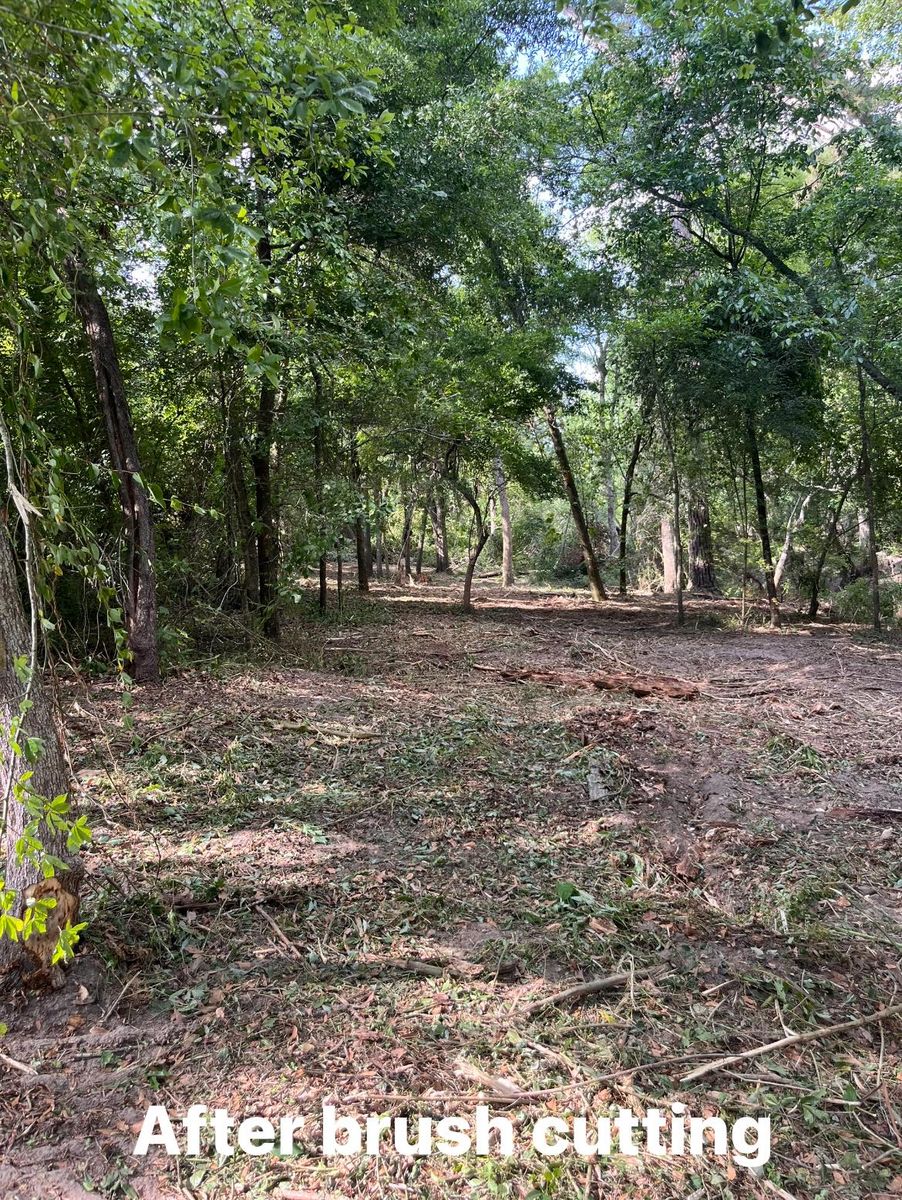Stump Grinding and Removal for Pinewood Land Management LLC in Nashville, GA