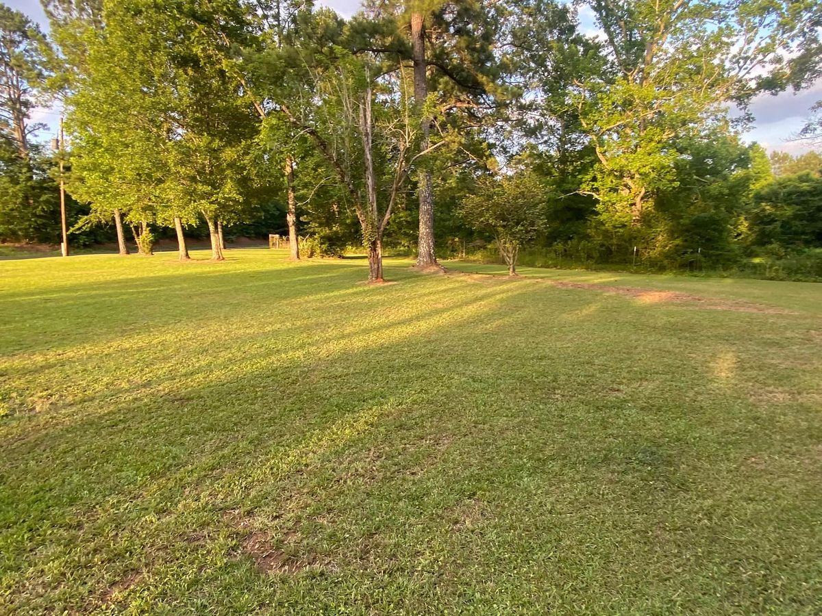 Lawn Maintenance for Xtreme Landscaping & Lawn Care in Lincoln, AL