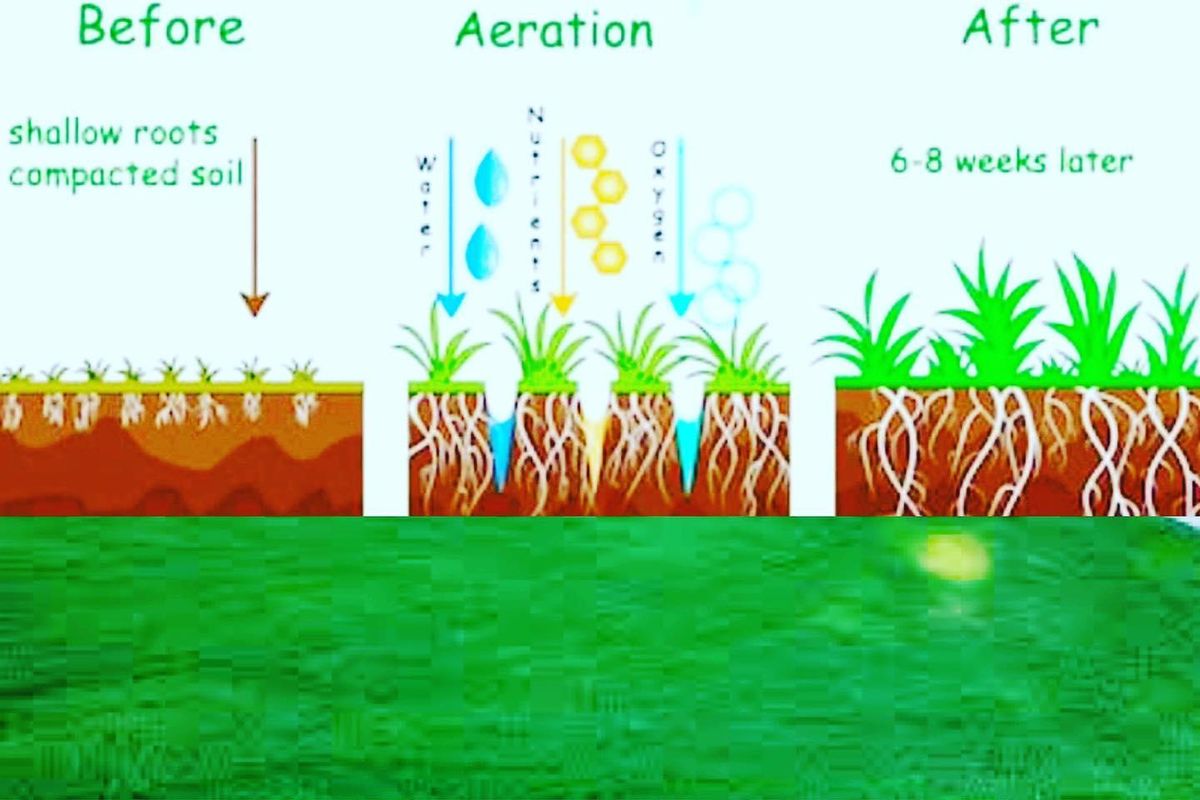 Residential Lawn Maintenance for American Dream Landscape Company in Surprise, AZ