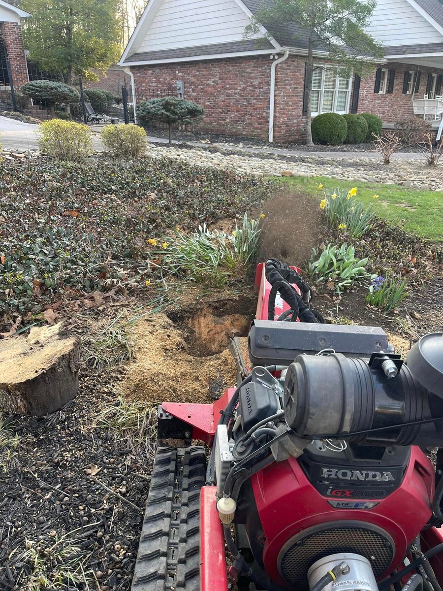 Stump Removal for Lucky’s Tree Removal and Landscape Services in Knoxville, TN