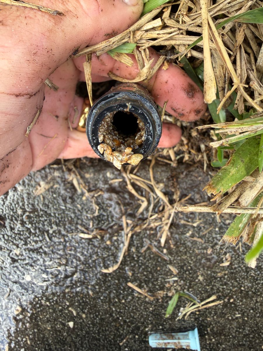 Drainage System Install & Repair for C4 Ground Control in Oviedo, FL