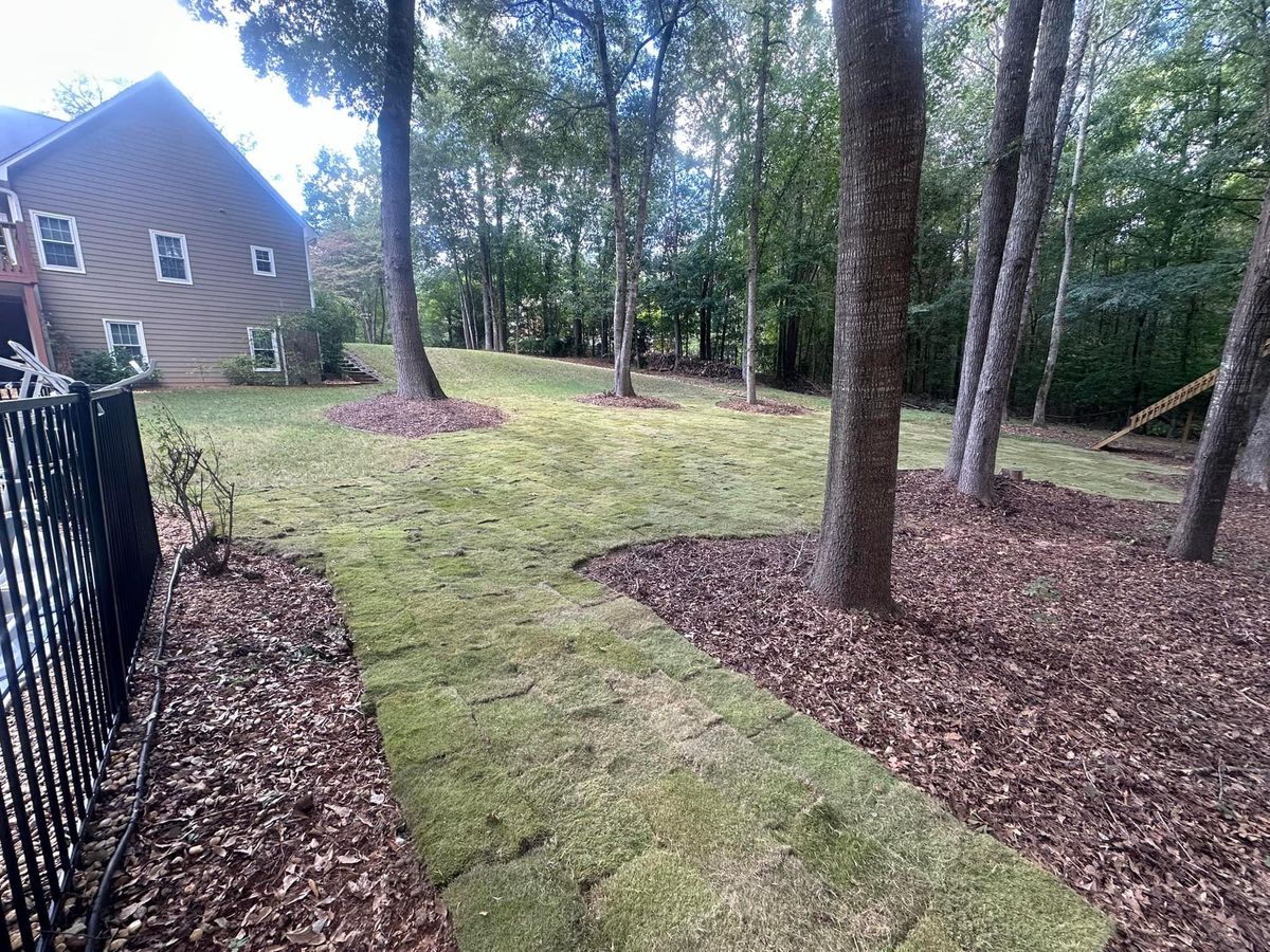 Sod Installation for Dirt Pro Land Solutions in Fayetteville, GA