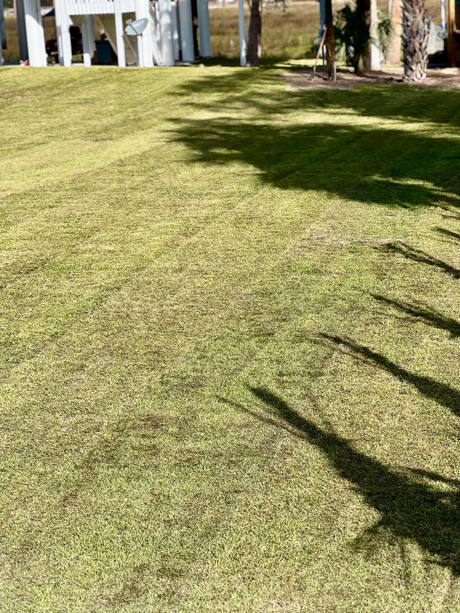 Sod Installation for Roberts Lawn & Landscape in Cross City, FL