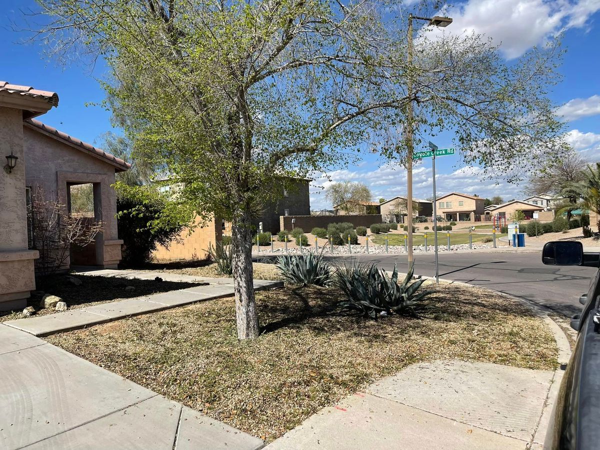 Seasonal Cleanup for Vaquero X Landscape LLC in Queen Creek, AZ