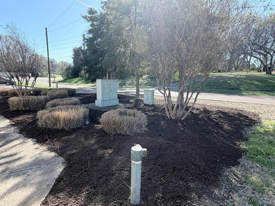 Tree & Shrub Care for Apex Lawn & Landscaping INC in Dyersburg, TN